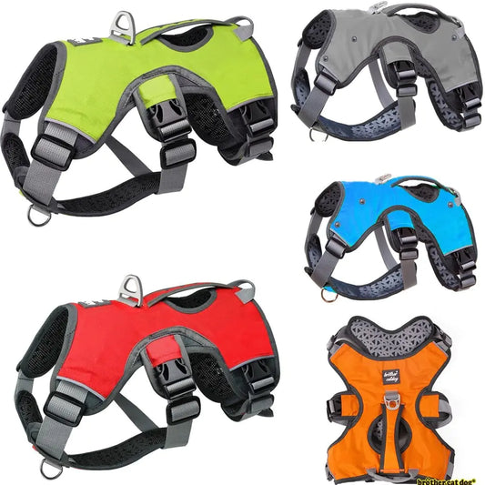Pet Harness Leash for Dogs